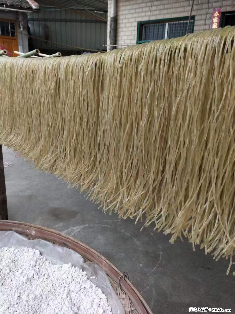 【灌阳正宗红薯粉】美女家里自己做的，干净卫生，假一赔十，价格合理，抢购电话：13737312895 - 美食天地 - 果洛生活社区 - 果洛28生活网 guoluo.28life.com