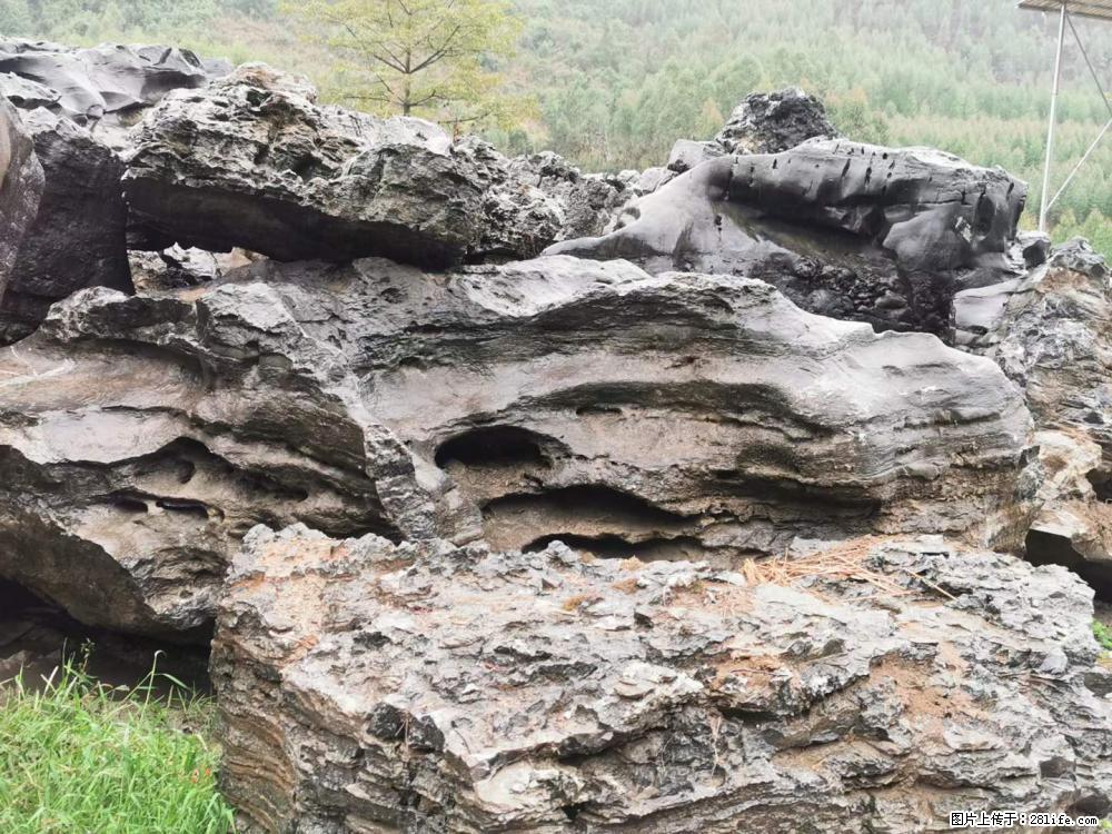 风景石、假山石大量有货，有需要的欢迎联系 - 新手上路 - 果洛生活社区 - 果洛28生活网 guoluo.28life.com