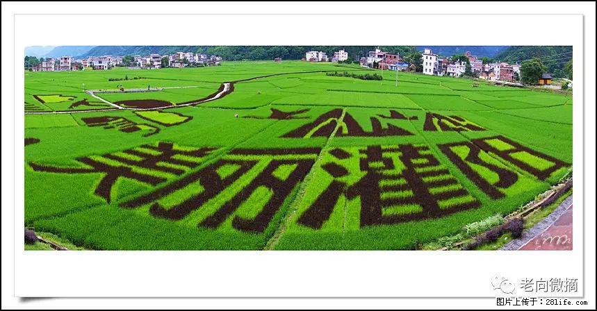 【春天，广西桂林灌阳县向您发出邀请！】开篇 - 游山玩水 - 果洛生活社区 - 果洛28生活网 guoluo.28life.com