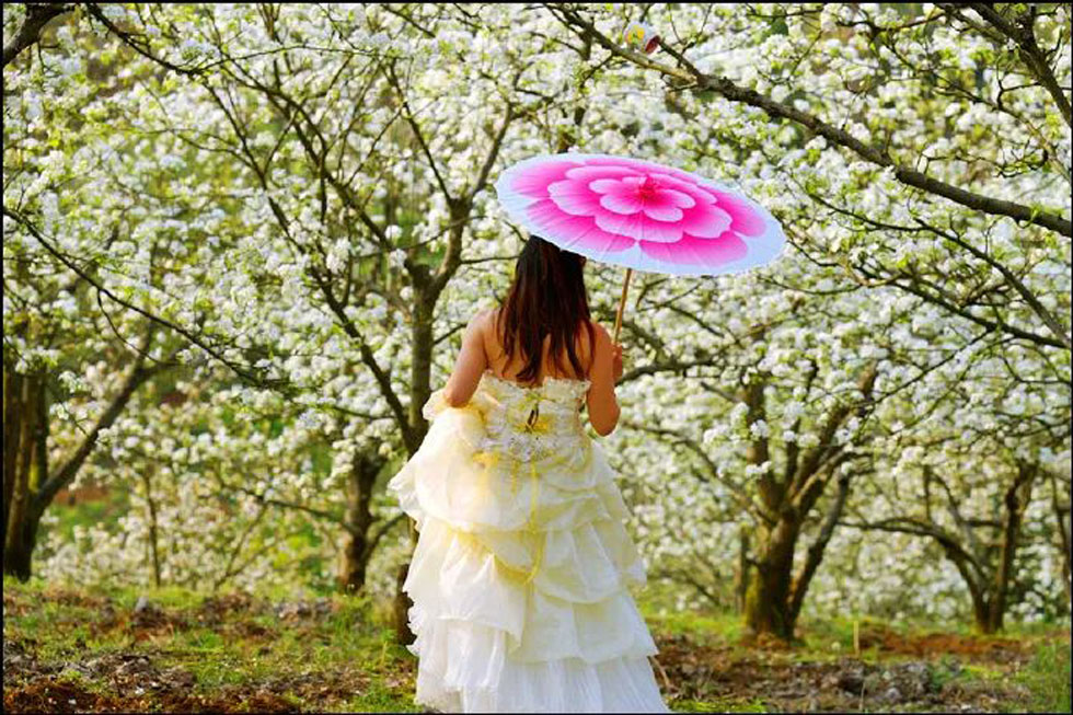 【春天，广西桂林灌阳县向您发出邀请！】我们在灌阳看梨花 - 游山玩水 - 果洛生活社区 - 果洛28生活网 guoluo.28life.com