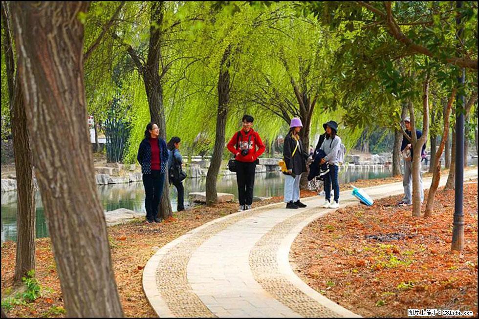 【春天，广西桂林灌阳县向您发出邀请！】江口老街又逢春 - 游山玩水 - 果洛生活社区 - 果洛28生活网 guoluo.28life.com