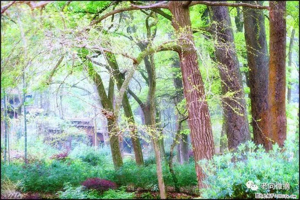 【春天，广西桂林灌阳县向您发出邀请！】在小龙村与春天约会 - 游山玩水 - 果洛生活社区 - 果洛28生活网 guoluo.28life.com