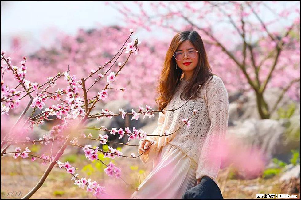 【春天，广西桂林灌阳县向您发出邀请！】望月岭上桃花开 - 游山玩水 - 果洛生活社区 - 果洛28生活网 guoluo.28life.com
