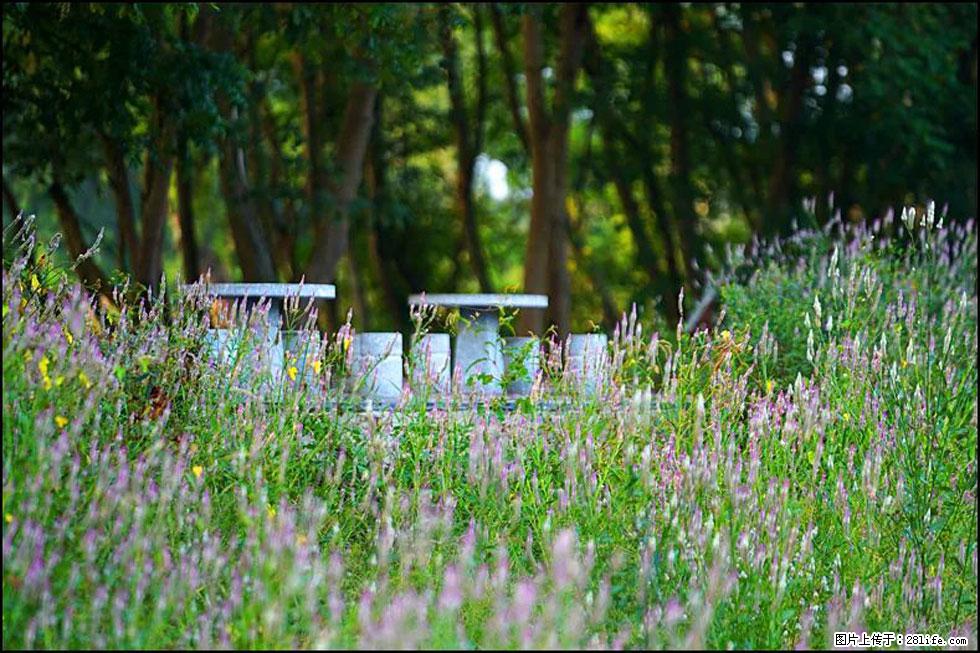 【春天，广西桂林灌阳县向您发出邀请！】熊家寨湿地公园 - 游山玩水 - 果洛生活社区 - 果洛28生活网 guoluo.28life.com