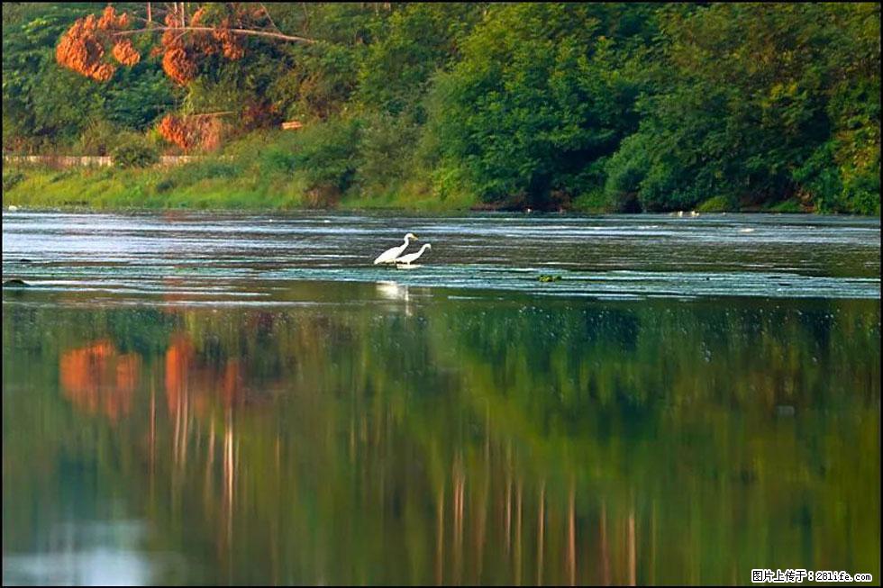 【春天，广西桂林灌阳县向您发出邀请！】熊家寨湿地公园 - 游山玩水 - 果洛生活社区 - 果洛28生活网 guoluo.28life.com