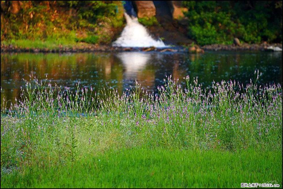 【春天，广西桂林灌阳县向您发出邀请！】熊家寨湿地公园 - 游山玩水 - 果洛生活社区 - 果洛28生活网 guoluo.28life.com