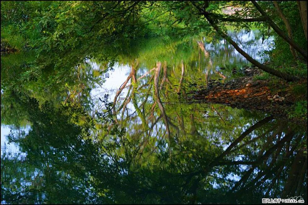 【春天，广西桂林灌阳县向您发出邀请！】熊家寨湿地公园 - 游山玩水 - 果洛生活社区 - 果洛28生活网 guoluo.28life.com