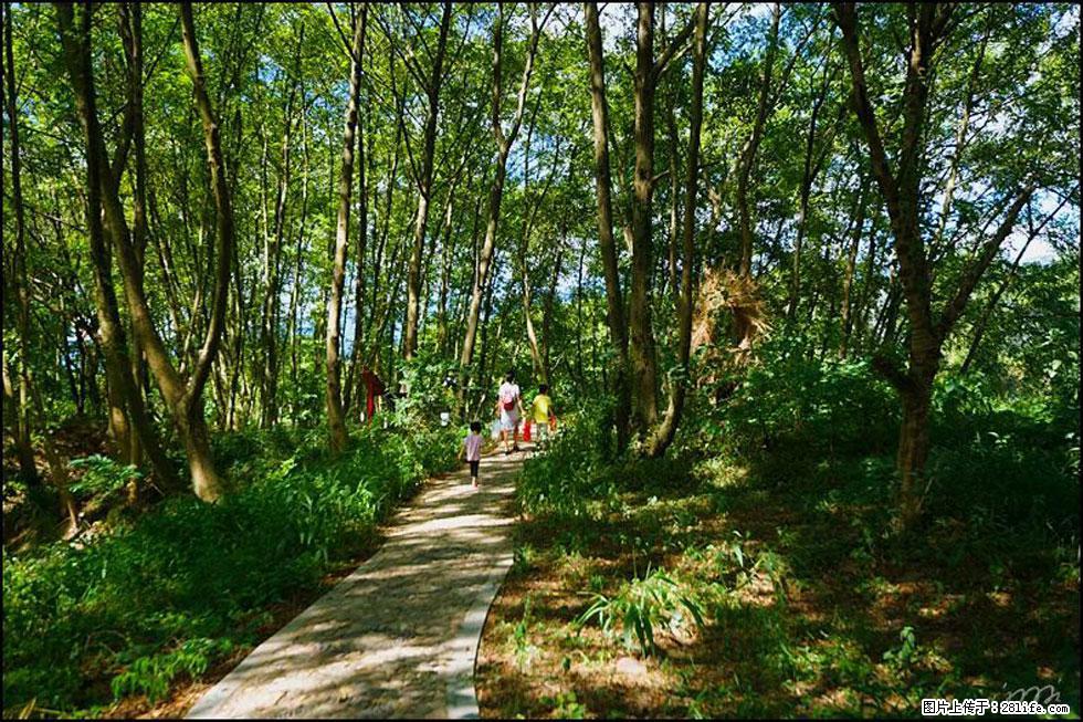 【春天，广西桂林灌阳县向您发出邀请！】熊家寨湿地公园 - 游山玩水 - 果洛生活社区 - 果洛28生活网 guoluo.28life.com