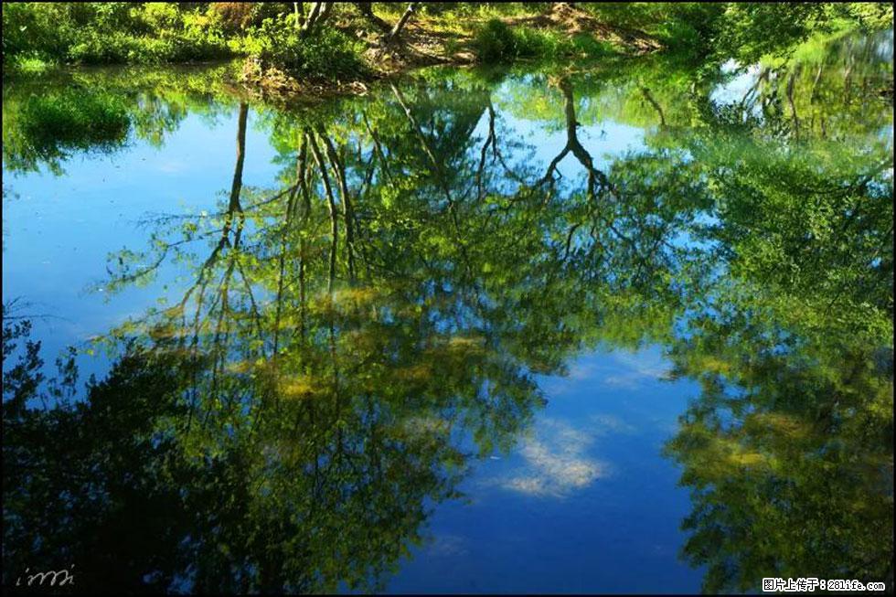 【春天，广西桂林灌阳县向您发出邀请！】熊家寨湿地公园 - 游山玩水 - 果洛生活社区 - 果洛28生活网 guoluo.28life.com