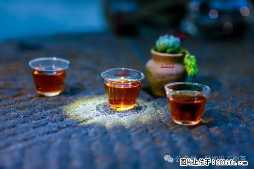 时间果百年古树2025年春红茶 - 购物交流 - 果洛生活社区 - 果洛28生活网 guoluo.28life.com