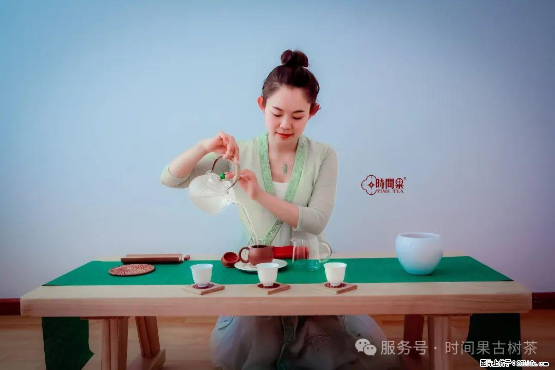 时间果百年古树龙珠普洱生茶 - 购物交流 - 果洛生活社区 - 果洛28生活网 guoluo.28life.com