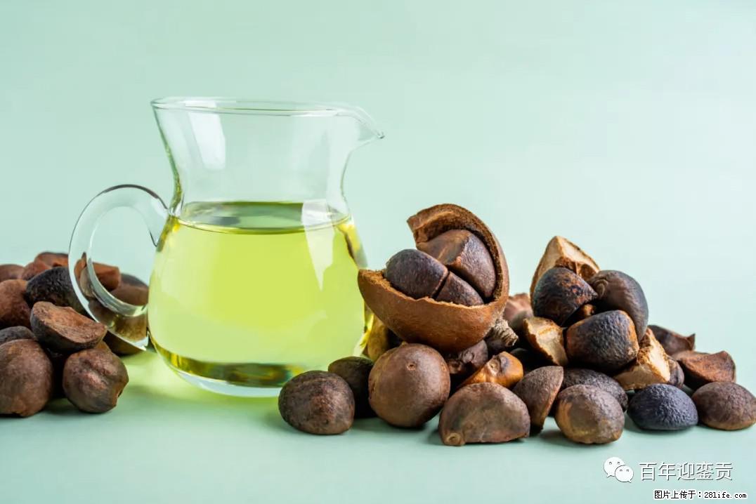 世界没有真相，只有认知，最好的食用油是中国的山茶油！ - 果洛生活资讯 - 果洛28生活网 guoluo.28life.com