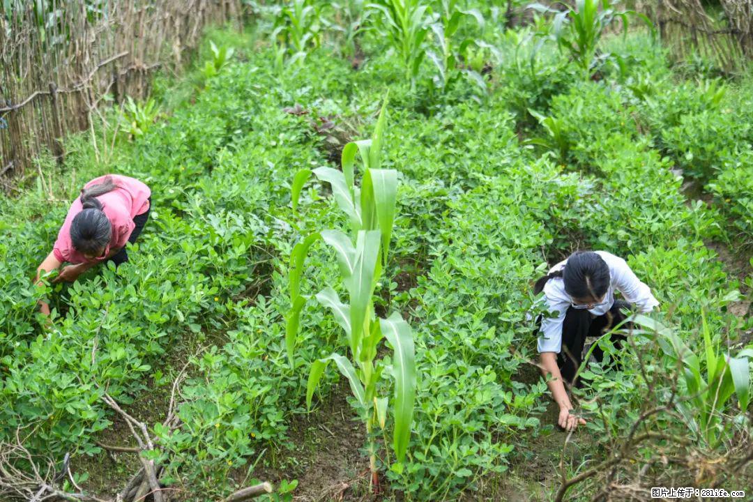 全网追的“扁担女孩”，找了一份暑假工，时薪12元 - 果洛生活资讯 - 果洛28生活网 guoluo.28life.com