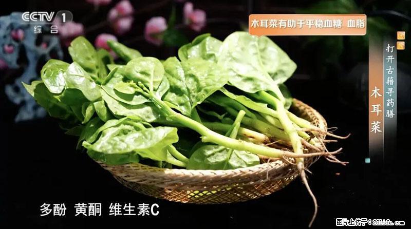 比牛奶补钙还厉害！凉血解毒、稳血糖...这菜冬天必吃，很多人却当草 - 果洛生活资讯 - 果洛28生活网 guoluo.28life.com