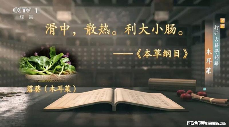 比牛奶补钙还厉害！凉血解毒、稳血糖...这菜冬天必吃，很多人却当草 - 果洛生活资讯 - 果洛28生活网 guoluo.28life.com