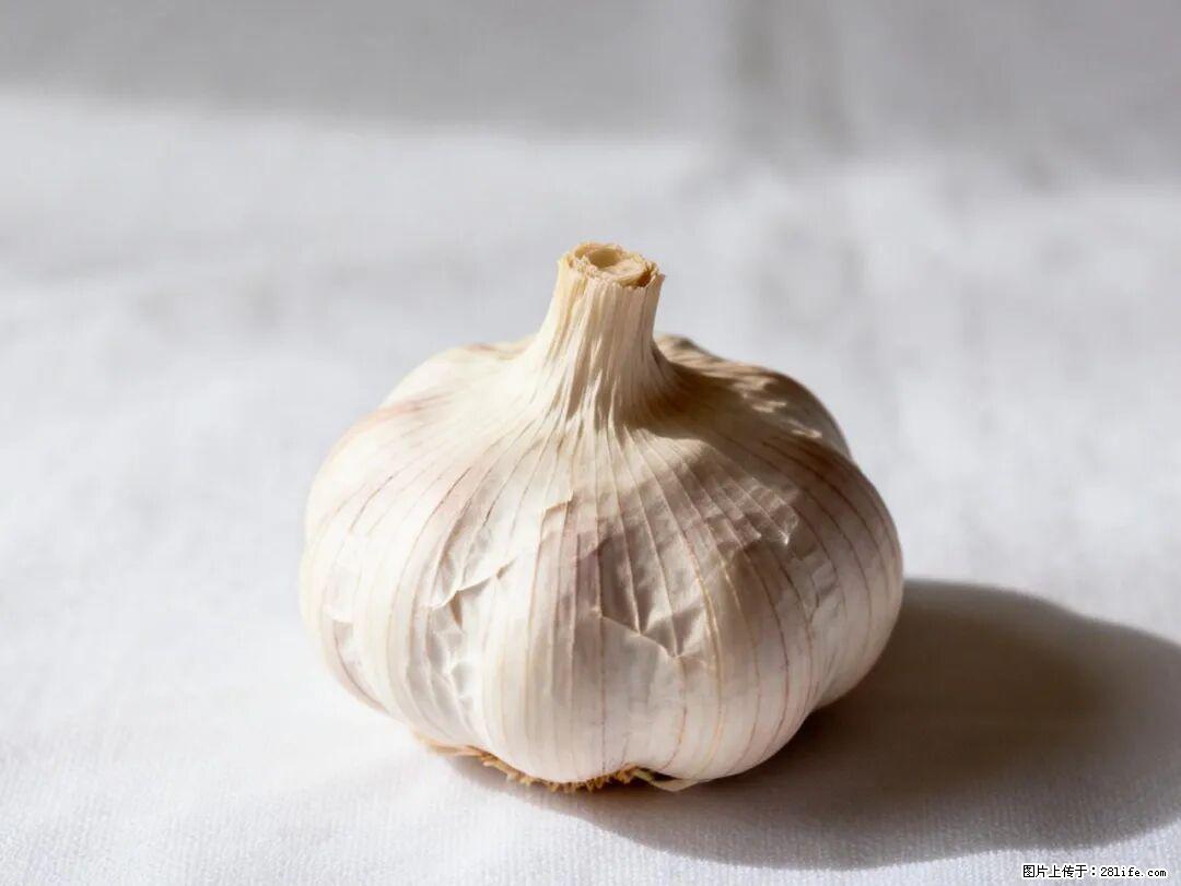 关于大蒜，除了“天然抗生素”，这4个谣言更该警惕! - 果洛生活资讯 - 果洛28生活网 guoluo.28life.com