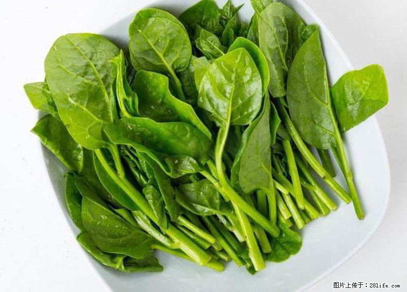 这些蔬菜是“天然钙片”，这6种被医生重点推荐 - 果洛生活资讯 - 果洛28生活网 guoluo.28life.com