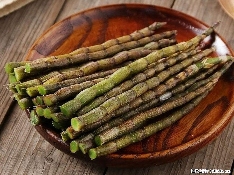 铁皮石斛的作用与功能主治 - 果洛生活资讯 - 果洛28生活网 guoluo.28life.com