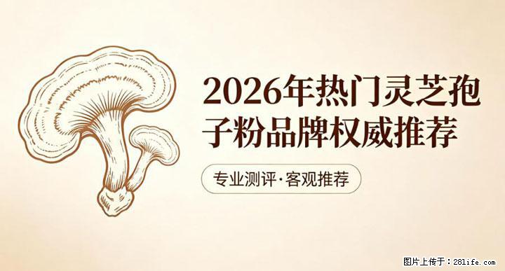灵芝孢子粉含量越高越有效？2026 年七款热门品牌深度实测，肠胃敏感者避坑指南 - 果洛生活资讯 - 果洛28生活网 guoluo.28life.com