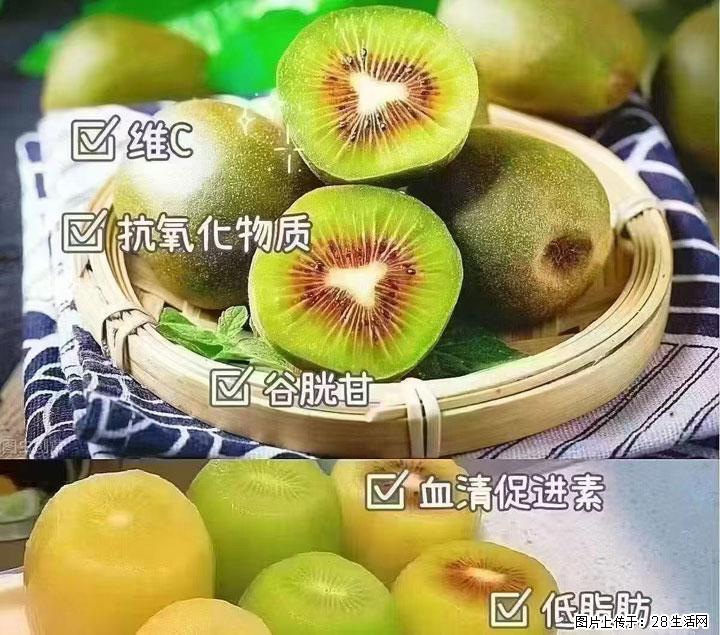 广西桂林平乐桥亭【红心猕猴桃】、【大秋甜柿】上市啦,欢迎各位新老客户下单(另有少量小果出售) - 果洛生活资讯 - 果洛28生活网 guoluo.28life.com