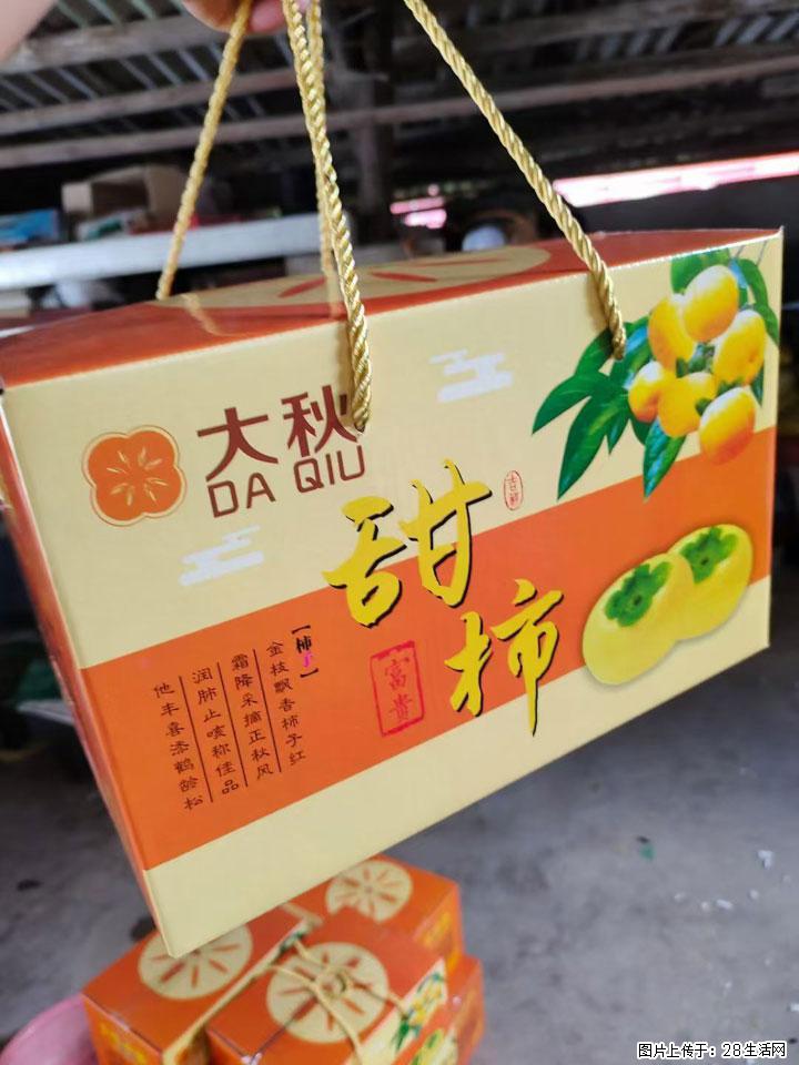 广西桂林平乐桥亭【红心猕猴桃】、【大秋甜柿】上市啦,欢迎各位新老客户下单(另有少量小果出售) - 果洛生活资讯 - 果洛28生活网 guoluo.28life.com